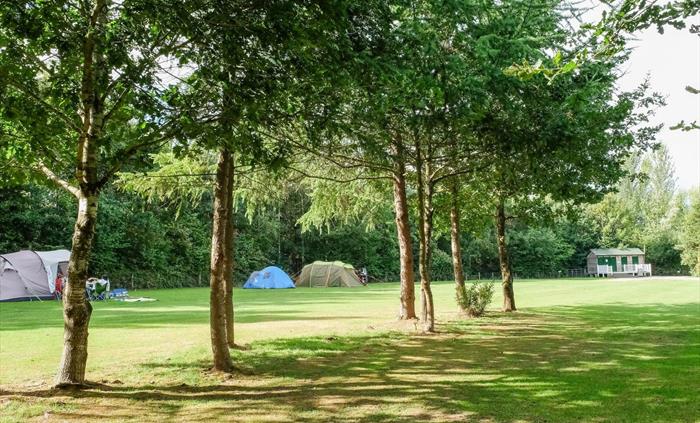 Lakeside Caravan Park - Elwyns camping field